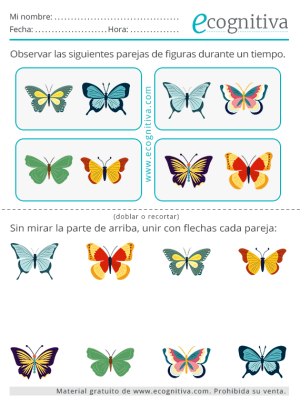 ecognitiva ejercicios septiembre 2023