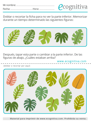 ecognitiva pdf mensual septiembre 2023