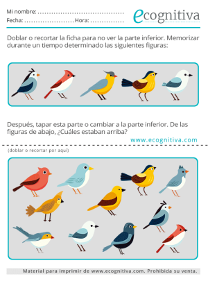 ejercicios de memoria ecognitiva septiembre 2023