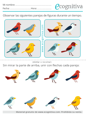 mejorar la memoria septiembre 2023