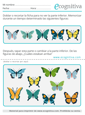 memoria corto plazo septiembre 2023